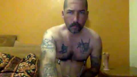 Snapshot of sontoddy chatting on 12-19-24, 11:07 Ryan online show from 12-19-24, 11:07