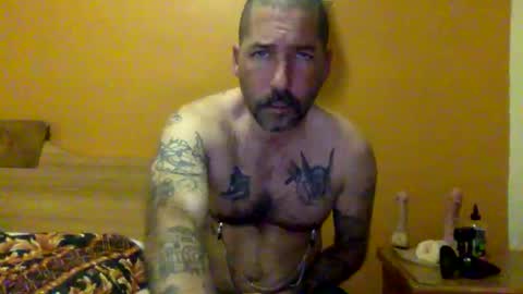 Snapshot of sontoddy chatting on 12-20-24, 01:47 Ryan online show from 12-20-24, 01:47