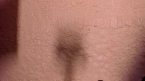 sophi_cooper29 online show from 12-22-25, 11:46