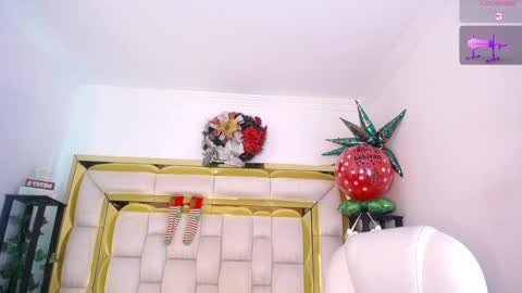 Snapshot of sophi_gray chatting on 12-29-24, 12:01 Shophi online show from 12-29-24, 12:01