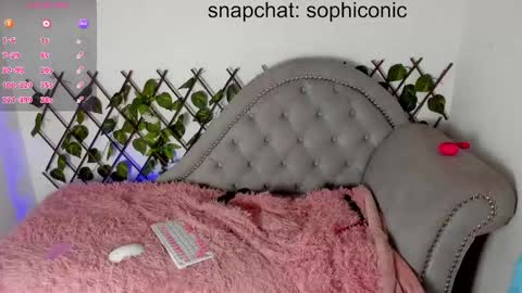 Snapshot of sophiconic_cb chatting on 02-07-25, 03:01 Clara sophia online show from 02-07-25, 03:01