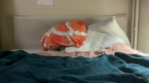 sorayaknight online show from 06-14-26, 08:00