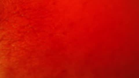 soy_fer online show from 06-23-26, 08:18