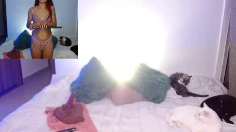      online show from 02-23-26, 11:46