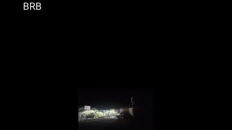 Sibyl online show from 09-10-25, 08:03