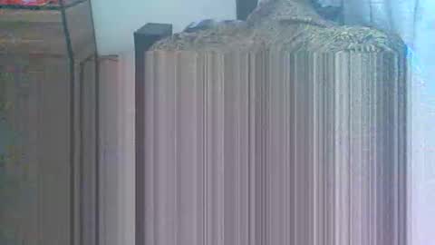 sparuzc777 online show from 04-10-26, 08:57