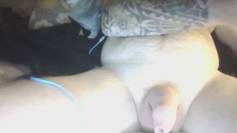 Snapshot of species98 chatting on 01-29-25, 05:51 species online show from 01-29-25, 05:51