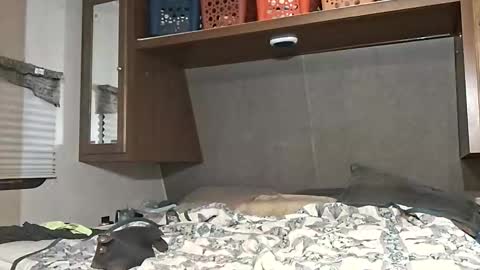 speedo_tx online show from 03-07-26, 10:23