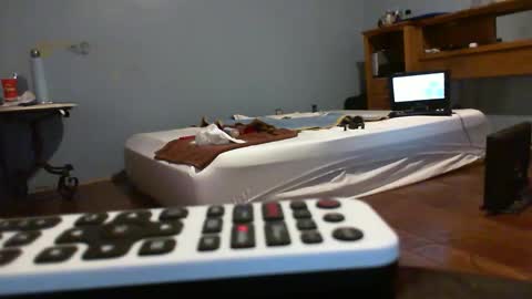 Snapshot of speedsoldier chatting on 02-21-26, 11:17 speedsoldier online show from 02-21-26, 11:17