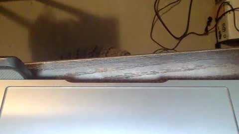 Snapshot of spirit__bear chatting on 11-22-25, 12:59 spirit__bear online show from 11-22-25, 12:59