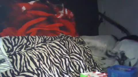 Daddy  His Splash Queen online show from 09-26-25, 08:13