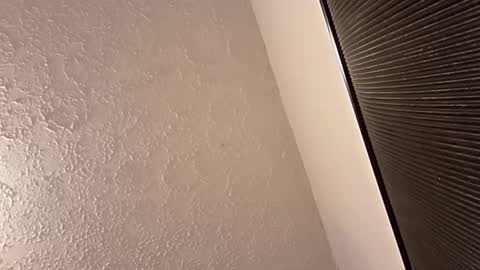 spnk6me9 online show from 03-29-26, 10:21