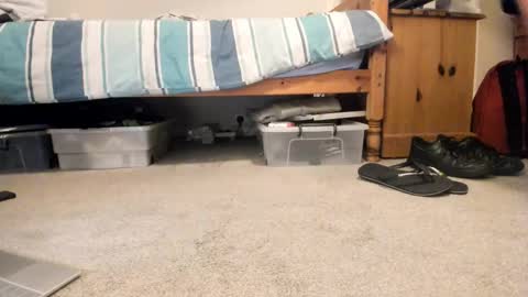 Sportyguy283 online show from 01-18-26, 09:18