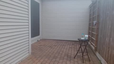 srtxshow online show from 03-03-25, 11:24