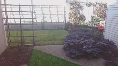 srtxshow online show from 11-16-25, 08:47