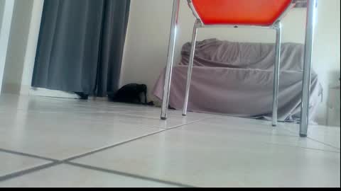 Snapshot of ssenzo chatting on 12-21-25, 02:13 ssenzo online show from 12-21-25, 02:13