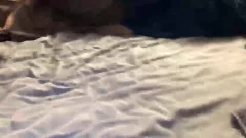 Snapshot of ssportz1392 chatting on 11-01-25, 01:40 ssportz1392 online show from 11-01-25, 01:40