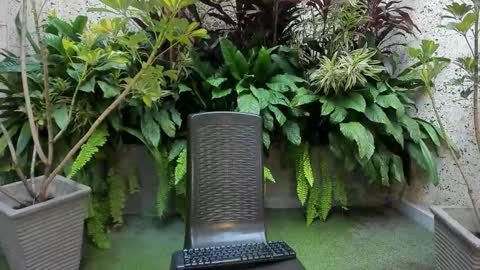 STAAR HOT online show from 02-01-26, 12:26