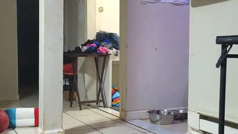 Submissive Slut LOVES adoration online show from 01-29-25, 12:45