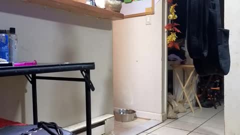 Submissive Slut LOVES adoration online show from 11-20-25, 03:18