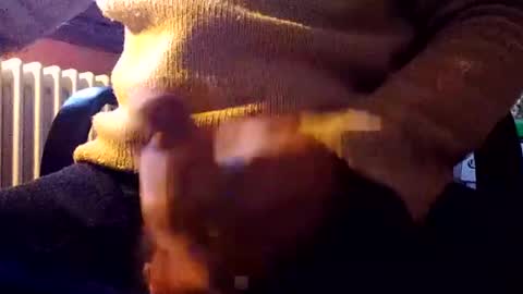 CIPPALIPPA online show from 12-31-24, 01:08