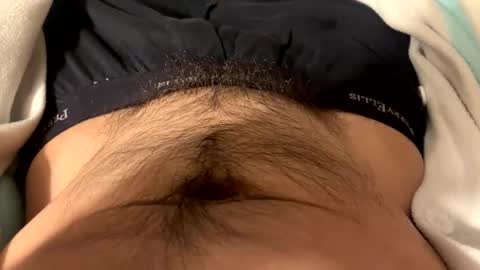 stankfox online show from 12-21-24, 02:41