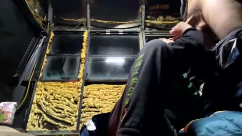 starbie online show from 02-06-25, 12:11