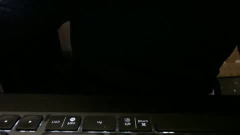 stargazer1069 online show from 11-13-25, 09:52