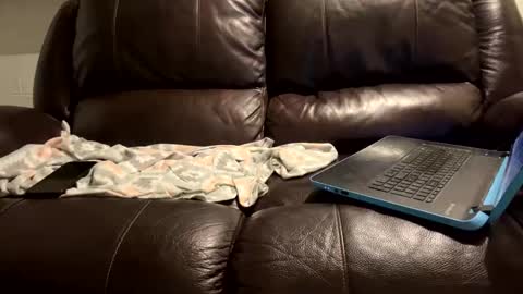 Snapshot of starr3095 chatting on 01-09-25, 06:06 starr3095 online show from 01-09-25, 06:06