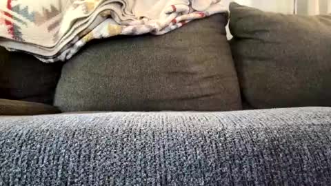 Snapshot of starr3095 chatting on 11-04-25, 03:22 starr3095 online show from 11-04-25, 03:22