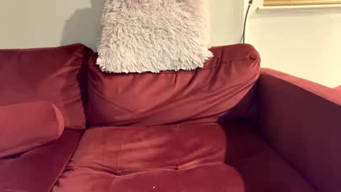 stayshard69696969 online show from 05-02-26, 12:37