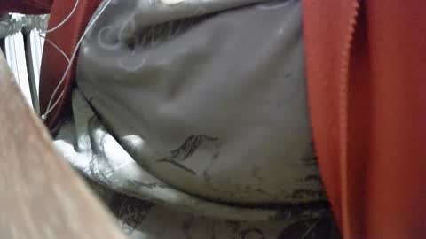 steef556 online show from 02-06-26, 06:44