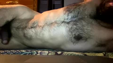 Lobo del Antiguo Oriente online show from 04-11-26, 07:45