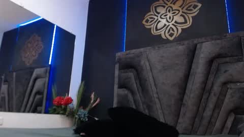 Stefany Brown online show from 01-07-26, 11:01