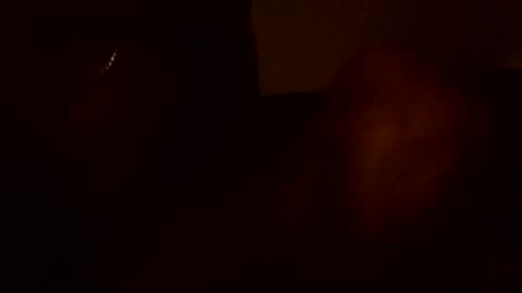 stefy1037 online show from 06-13-26, 05:49