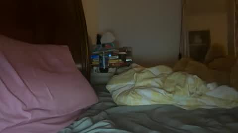 Snapshot of stellaangel chatting on 10-26-25, 05:57 stellaangel online show from 10-26-25, 05:57