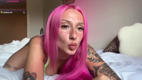 Snapshot of stellacorbet chatting on 06-13-26, 09:24 stellacorbet online show from 06-13-26, 09:24
