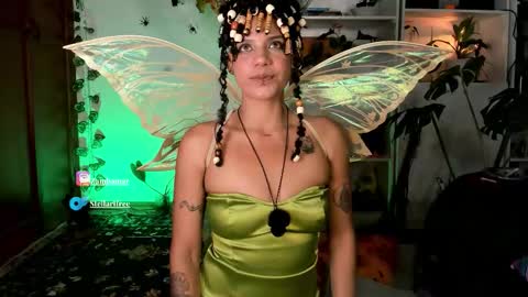 stellart_ online show from 11-01-25, 04:58