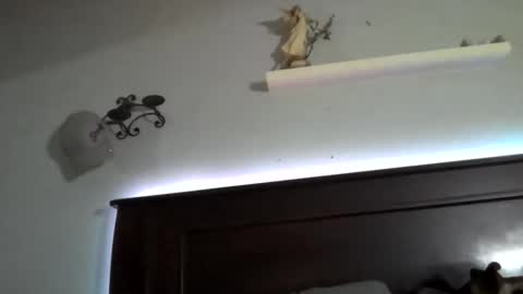 Stellateamo69 online show from 05-13-26, 04:10