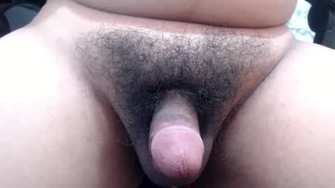 Stellaven online show from 01-24-25, 10:11