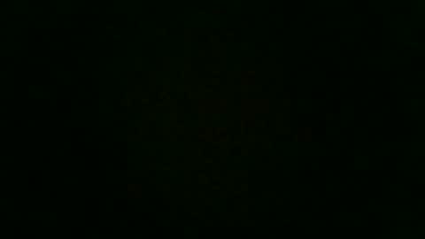 Snapshot of stensurfarn chatting on 12-02-25, 12:43 stensurfarn online show from 12-02-25, 12:43