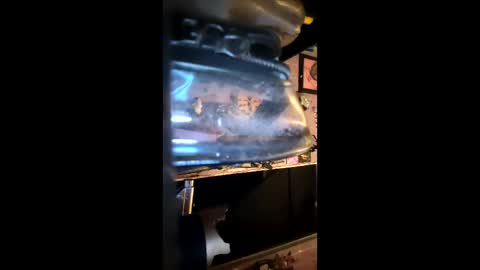 steph9876543212 online show from 02-11-26, 05:01