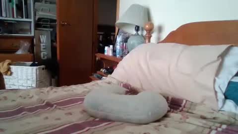 Ian23602 online show from 02-06-26, 05:05