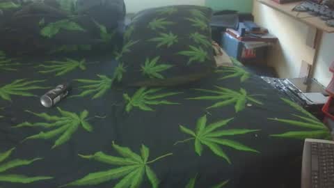 Snapshot of steveaussie chatting on 05-14-26, 06:31 Australian420 online show from 05-14-26, 06:31
