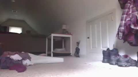 steve online show from 10-13-25, 05:57