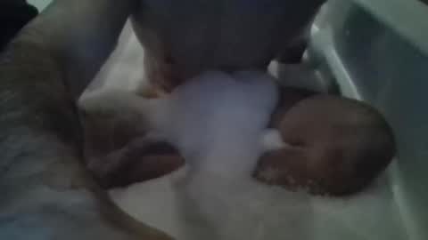 Tiny D online show from 11-15-25, 12:52