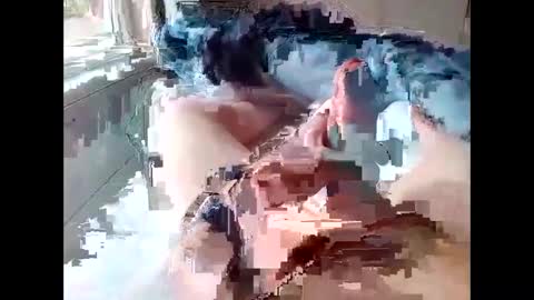 Snapshot of stevie_y19 chatting on 02-14-25, 09:34 stevie_y19 online show from 02-14-25, 09:34