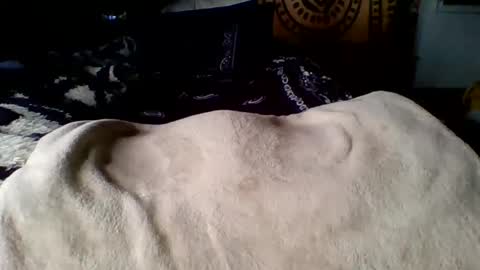 steviehard7 online show from 03-12-25, 04:02