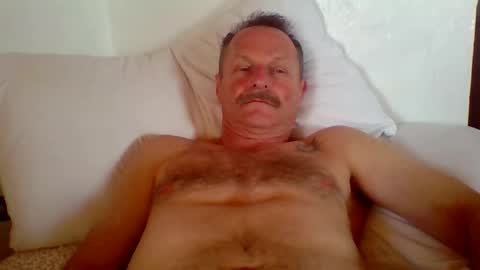 steviehard7 online show from 02-04-26, 09:31