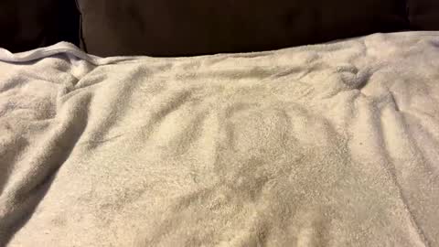 stiffrick682 online show from 01-07-25, 12:03